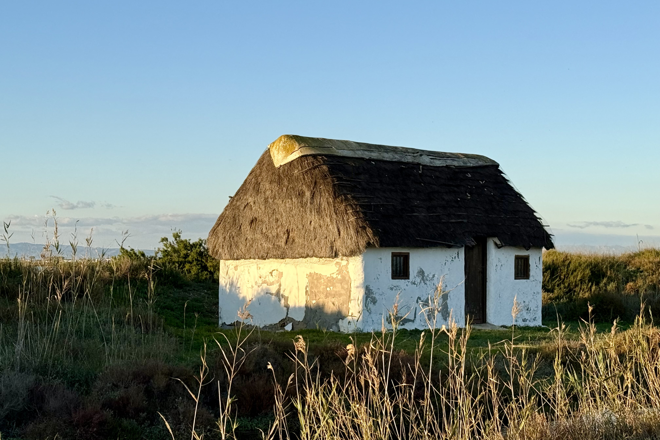 Barraca tradicional del Delta del Ebre con tejado de paja y muros encalados, integrada en el paisaje natural.